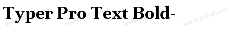 Typer Pro Text Bold字体转换